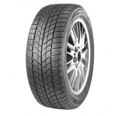 DOUBLESTAR WINTERKING DW09 235/55R20 102H